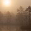 Sola forsøker å trenge gjennom tåketeppet, fotokunst veggbilde / plakat av Kjell Erik Moseid