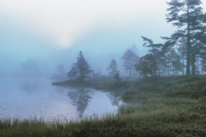 Femundsmarka, tåke, fotokunst veggbilde / plakat av Henning Mella