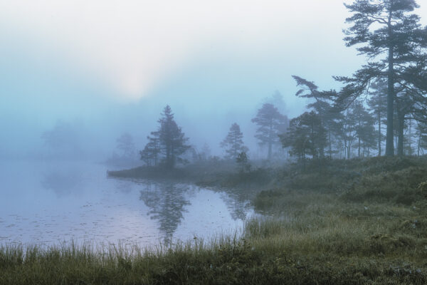 Sola trenger gjennom tett skodde ved et skogstjern., fotokunst veggbilde / plakat av Kjell Erik Moseid