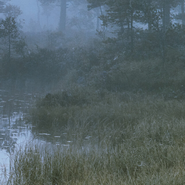 Sola trenger gjennom tett skodde ved et skogstjern., fotokunst veggbilde / plakat av Kjell Erik Moseid