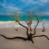 Tropisk strand, fotokunst veggbilde / plakat av Terje Kolaas