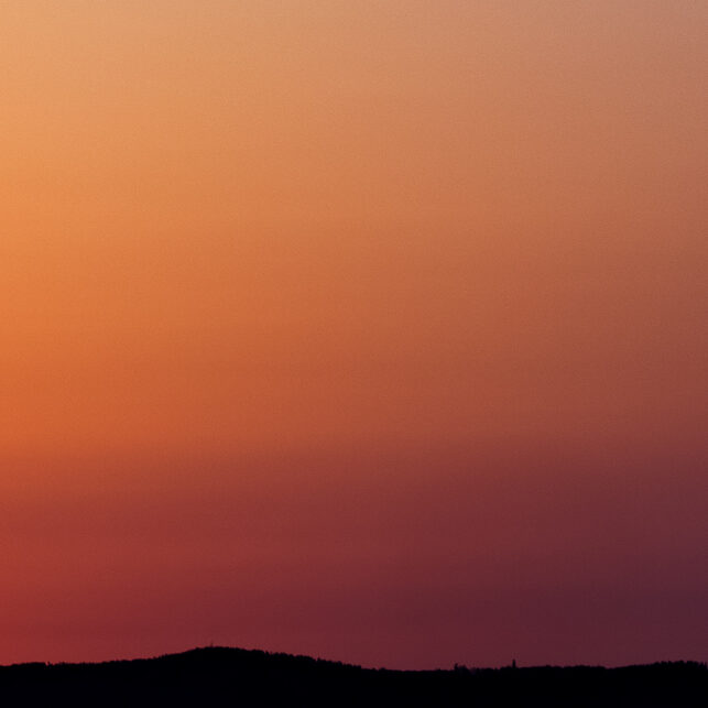 Kortnebbgjess i solnedgangen, fotokunst veggbilde / plakat av Terje Kolaas